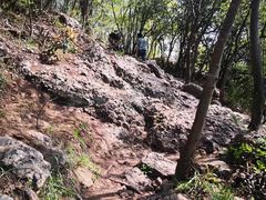 -紫金山山顶公园
