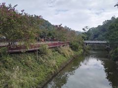 -红花湖景区