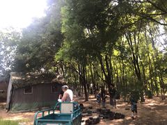 -亲兄弟真人CS团建拓展基地