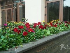 iphone_upload_pic-黔蘑菇四季餐厅(观山湖店)