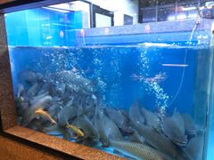 -淘米捞·米汤脆鲩鱼火锅(福田皇岗店)