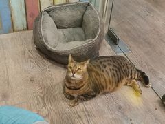 -小时光咖啡馆(开森度假森林店)