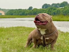 -库伦旗银沙湾旅游景区