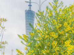 -海心沙亚运公园