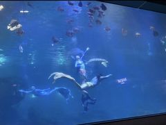 -福州罗源湾海洋世界旅游区