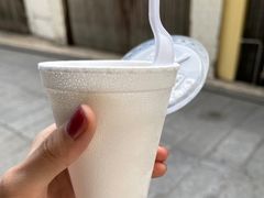 -洪馨椰子