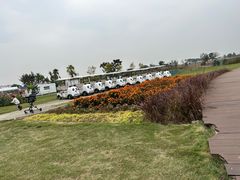 -空港花田景区