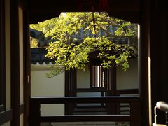 -江心屿景区