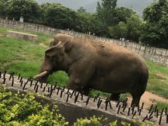 -西安秦岭野生动物园