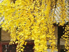 -金堂县云顶石城风景区