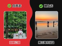 -日照海滨国家森林公园