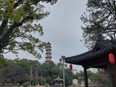 -江心屿景区