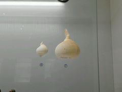 -青岛贝壳博物馆