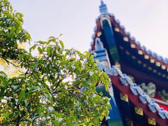 -灵谷景区