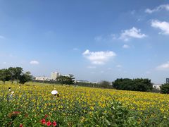 -光明小镇欢乐田园