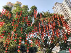 -晓港公园