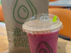 -油梨树 AVOCADO TREE(亮马桥店)