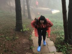 -梦幻奥陶纪景区