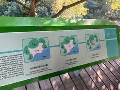 -西湖风景区-江洋畈生态公园