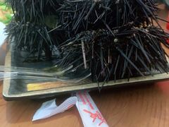 -海胆小馆(东北水饺·春柳店)