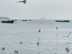 -银沙滩浴场