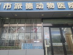 -pd派德宠物中心医院24H急重症·眼科中心·血液透析中心(嵩山北路店)