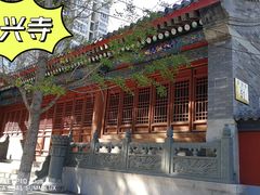 -法兴寺