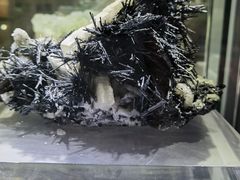 -湖南省地质博物馆