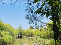 -吴淞炮台湾湿地森林公园烧烤区