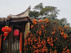 -蔡氏古民居建筑群