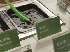 -Salud撒露欧洲冻酸奶(五道口购物中心店)