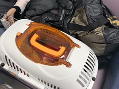 -北京观赏动物医院·24小时大型综合·猫专科·异宠专科