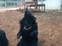 -昆明动物园