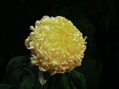 -北京植物园-展览温室