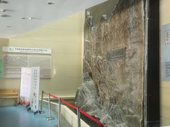 -延庆地质公园博物馆