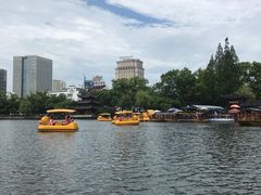 -三里屯土灶炖公鸡地锅鸡(江东店)