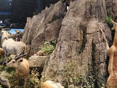 -陕西自然博物馆