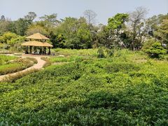 -广西壮族自治区药用植物园