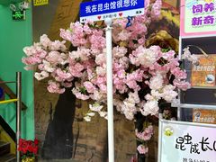 -上海大自然野生昆虫馆