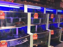 水产区-七欣天(上海淮海路新尚广场店)