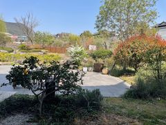 -春色如许·茶食餐厅(桃李春风店)