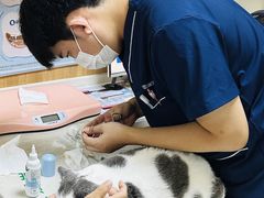 -瑞派宠物医院·24h·骨外科·皮肤科·全科宠物医疗转诊中心(沈阳浑南院)