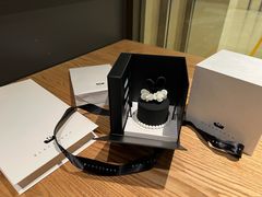 -BLACKSWAN黑天鹅(环球店)