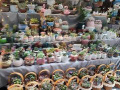 -循礼门鲜花花市(武汉循礼门店)