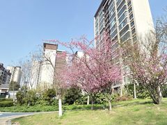 -映月湖中央公园