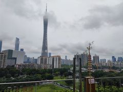 -小茶闲舍·观景商务茶馆(广州塔店)