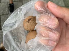 -金盆阿嬷香菇茶叶蛋(玄光店)