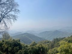-莫干山风景区