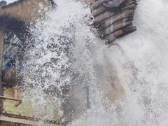 -重庆海昌加勒比海水世界