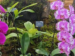 -国家植物园南园